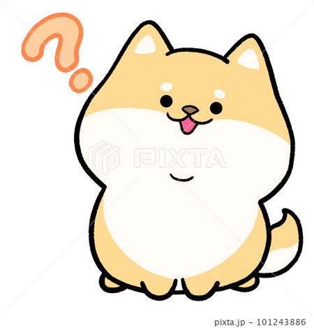 疑問に思う柴犬 疑問に思う柴犬 101243886