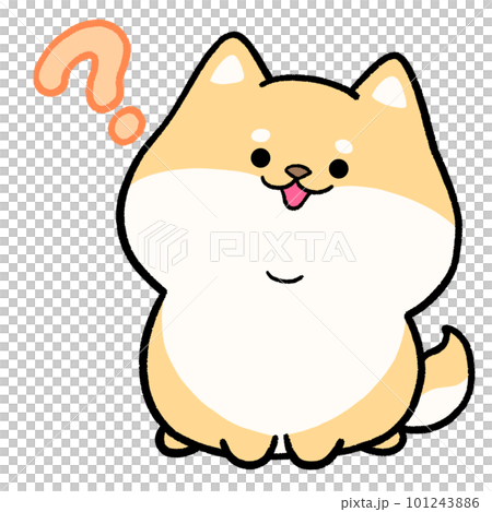 Shiba Inu wondering Shiba Inu wondering 101243886