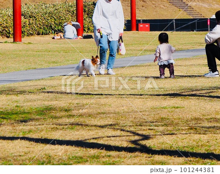 公園を散歩する犬と赤ちゃん 公園を散歩する犬と赤ちゃん 101244381