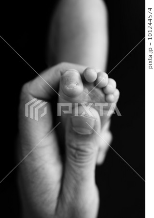 Mother is doing massage on her baby foot. Close up baby feet in mother hands on a black background. Prevention of flat feet, development, muscle tone, dysplasia. Black and white photo. Mother is doing massage on her baby foot. Close up baby feet in mother hands on a black background. Prevention of flat feet, development, muscle tone, dysplasia. Black and white photo. 101244574