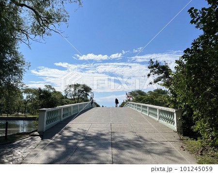 夏のカナダ・トロントアイランド(センターアイランド) 夏のカナダ・トロントアイランド(センターアイランド) 101245059