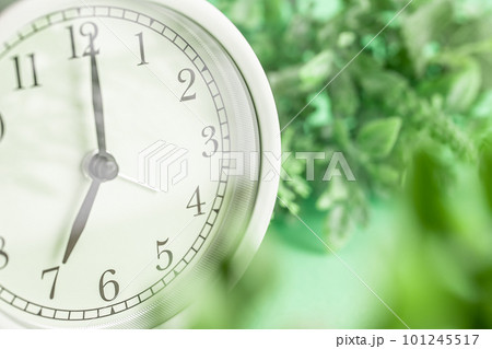 朝7時を表示する目覚まし時計と植物の写真素材 朝7時を表示する目覚まし時計と植物の写真素材 101245517