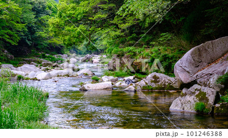 新緑の奥津渓 新緑の奥津渓 101246388