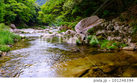 新緑の奥津渓 新緑の奥津渓 101246394