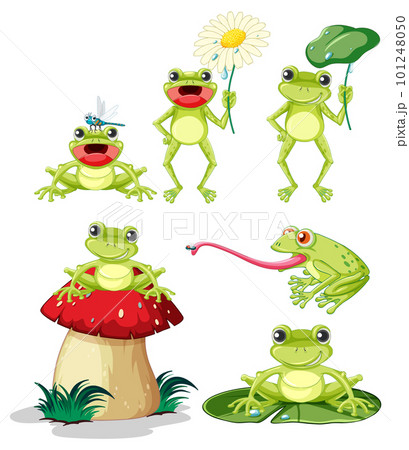 Smiling Green Frog Cartoon Characters Smiling Green Frog Cartoon Characters 101248050