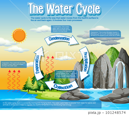 The water cycle diagram for science education 101248574