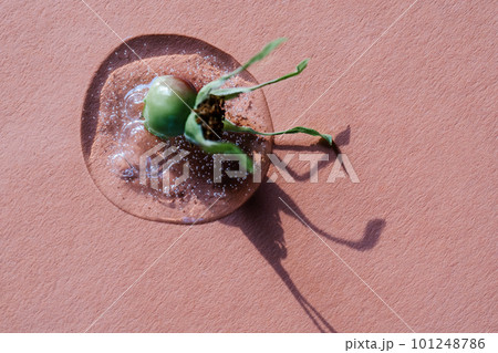 A drop of cosmetic gel on a pink background. 101248786