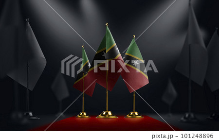 The Saint Kitts and Nevis national flag on the red carpet The Saint Kitts and Nevis national flag on the red carpet 101248896