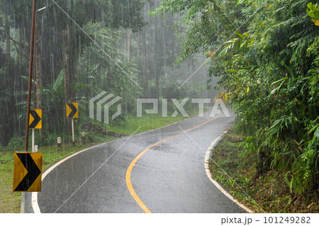 Heavy Rain in Tropical Forest. Heavy Rain in Tropical Forest. 101249282