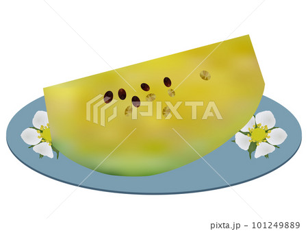 お皿に盛られた「カットした黄色い小玉スイカ」皿  花柄 101249889