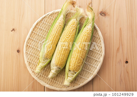 とうもろこし とうもろこし 101249929