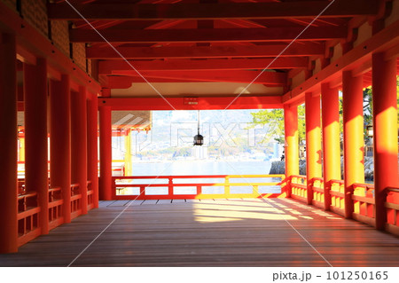 厳島神社　朝日の差し込む東回廊 101250165