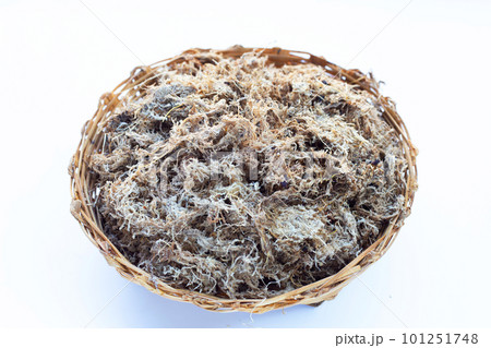 Dry sphagnum moss. Help plants retain moisture 101251748