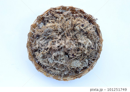 Dry sphagnum moss. Help plants retain moisture 101251749