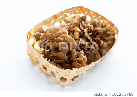 Maitake (Grifola frondose) mushroom on white background Maitake (Grifola frondose) mushroom on white background 101251769