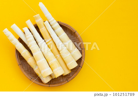 Bamboo shoots on yellow background. 101251789