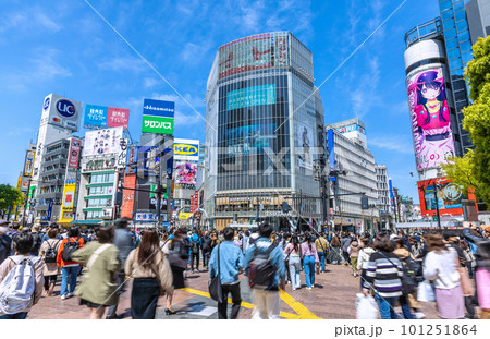 日本の東京都市景観　4月、マスクからの解放…午前中、外国人観光客で溢れる渋谷スクランブル交差点＝4日 101251864