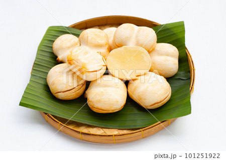 Toddy palm on white background. 101251922