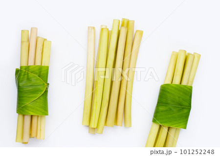 Lotus stem on white background. Lotus stem on white background. 101252248