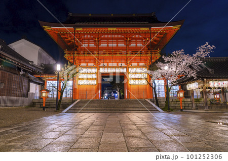 満開の桜とライトアップされた夜の八坂神社 南楼門 満開の桜とライトアップされた夜の八坂神社 南楼門 101252306