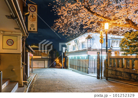 真夜中の清水坂　三年坂へ進む道　満開の桜 101252329