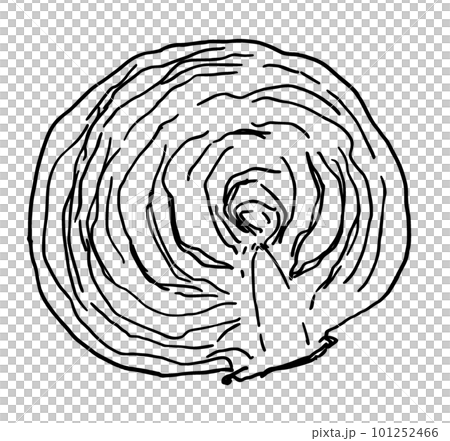 キャベツの線画　モノクロ　シンプルイラスト 101252466