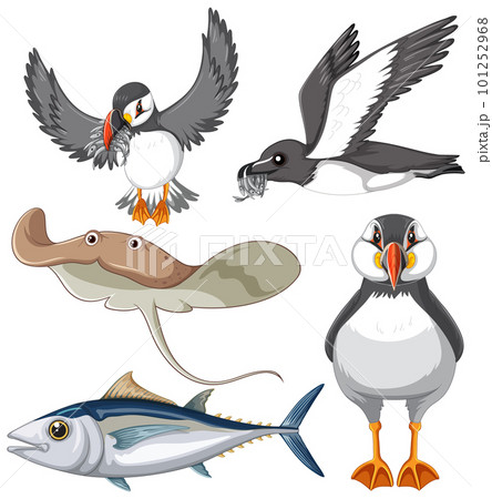 Set of animal cartoon Set of animal cartoon 101252968
