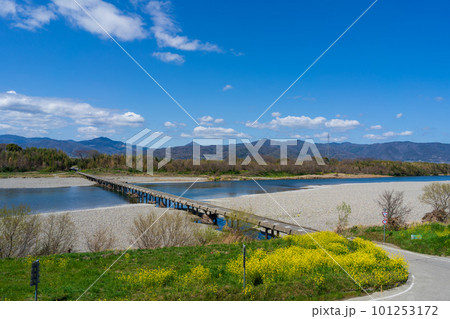 吉野川(川島潜水橋)　徳島県吉野川市～阿波市 101253172