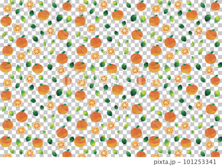 水彩タッチ　蜜柑フレッシュパターン 101253341