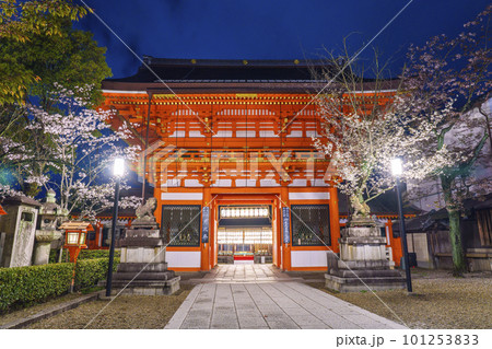 満開の桜とライトアップされた夜の八坂神社 南楼門 満開の桜とライトアップされた夜の八坂神社 南楼門 101253833