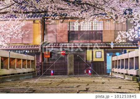 京都 祇園白川 巽橋の満開の桜 京都 祇園白川 巽橋の満開の桜 101253845