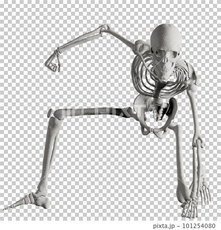 Human skeleton posing 101254080