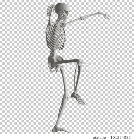 Human skeleton posing 101254086