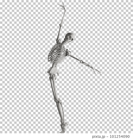 Human skeleton posing Human skeleton posing 101254090