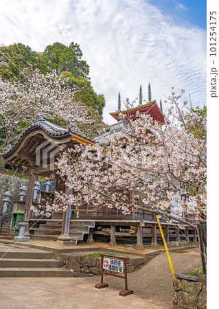 【第23番札所】春の薬王寺　瑜祇塔【四国八十八箇所】 101254175