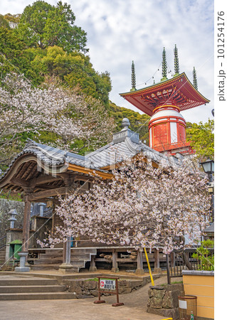 【第23番札所】春の薬王寺　瑜祇塔【四国八十八箇所】 101254176