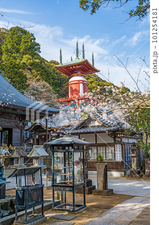 【第23番札所】春の薬王寺　瑜祇塔【四国八十八箇所】 101254181