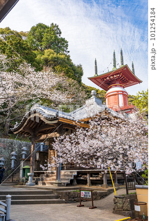 【第23番札所】春の薬王寺 瑜祇塔【四国八十八箇所】 【第23番札所】春の薬王寺 瑜祇塔【四国八十八箇所】 101254184