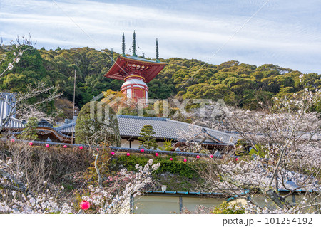 【第23番札所】春の薬王寺 瑜祇塔【四国八十八箇所】 【第23番札所】春の薬王寺 瑜祇塔【四国八十八箇所】 101254192