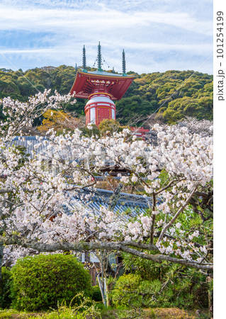 【第23番札所】春の薬王寺 瑜祇塔【四国八十八箇所】 【第23番札所】春の薬王寺 瑜祇塔【四国八十八箇所】 101254199