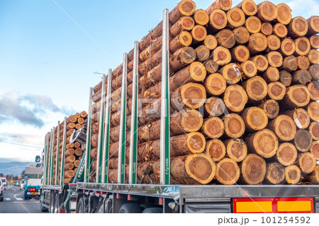 原木運搬 101254592