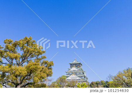 《大阪府》大坂城と桜・桜に彩られた天守閣 101254630