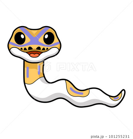 Cute banana pied ball python cartoon Cute banana pied ball python cartoon 101255231