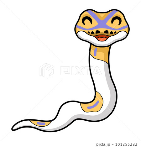 Cute banana pied ball python cartoon 101255232