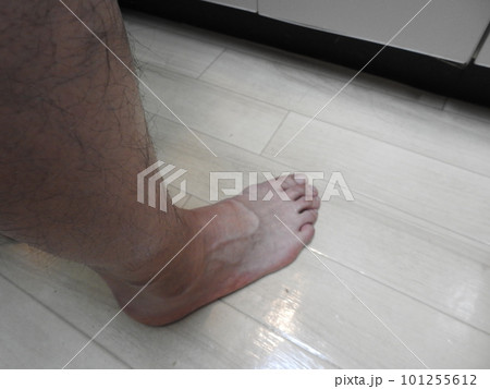 男性の足 足 足のすね毛 すね毛 男性のすね毛 男性の足 足 足のすね毛 すね毛 男性のすね毛 101255612