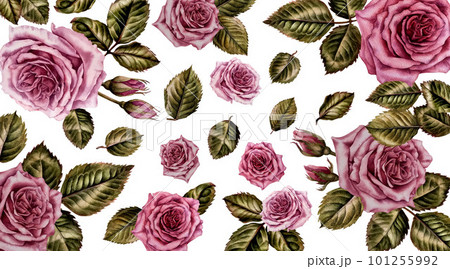 Watercolor pink rose frame for invitation, card, postcard, menu, greeting card for wedding, birthday, Mother's Day, Women"s Day.  Illustration hand drawn  in botanical style/ 101255992