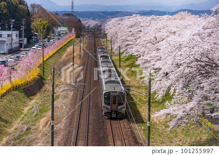 東北本線を走る列車 東北本線を走る列車 101255997