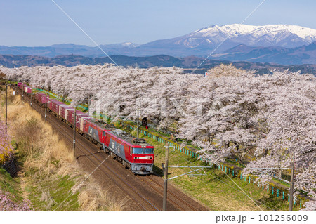 東北本線を走る列車 101256009