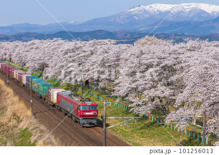 東北本線を走る列車 101256013