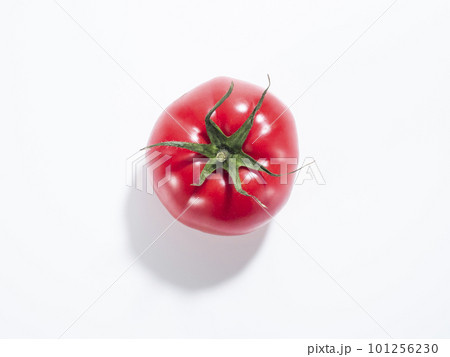 新鮮なトマト 101256230